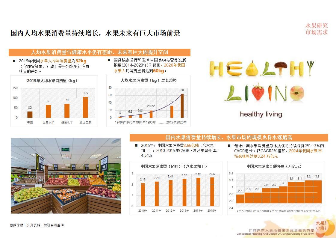 【度假小镇】江苏启东水果小镇丨策划规划概念方案丨286页丨460M丨2019_94.jpg