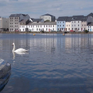 Galway's Picture Palace Fuses the City's Film History with its Present