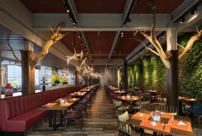 北京筑土设计--北京春晖园：极富艺术感的“树”餐厅