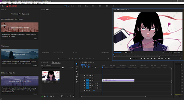 Adobe Premiere Pro 2020中文版