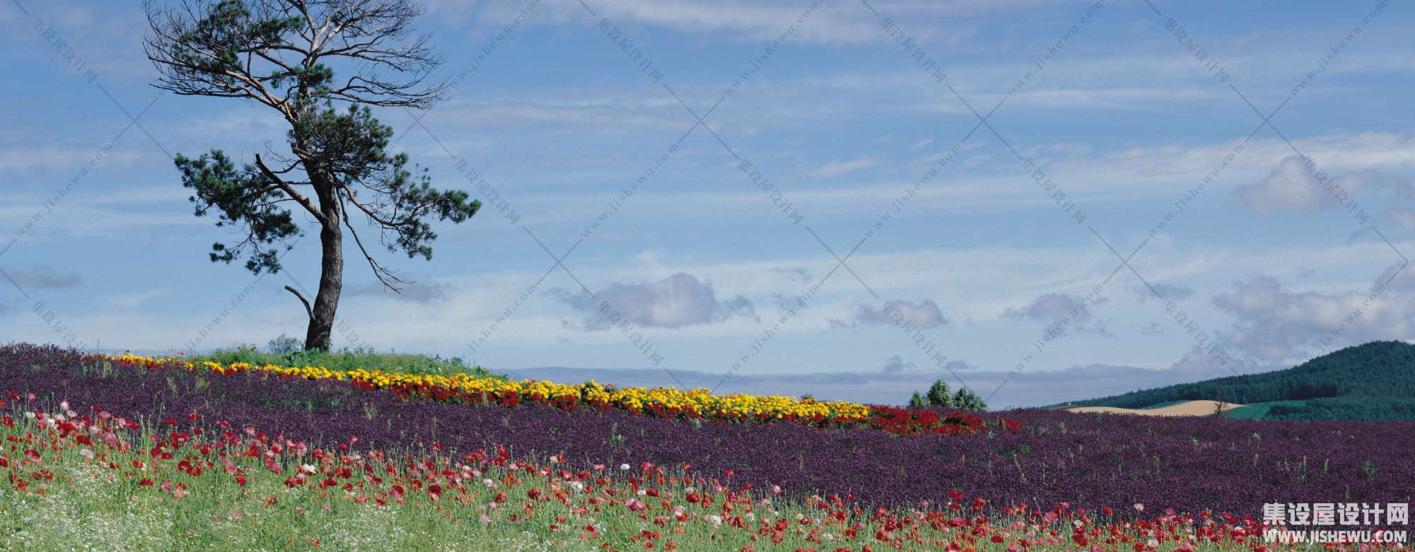 超高清大幅风景景观-1