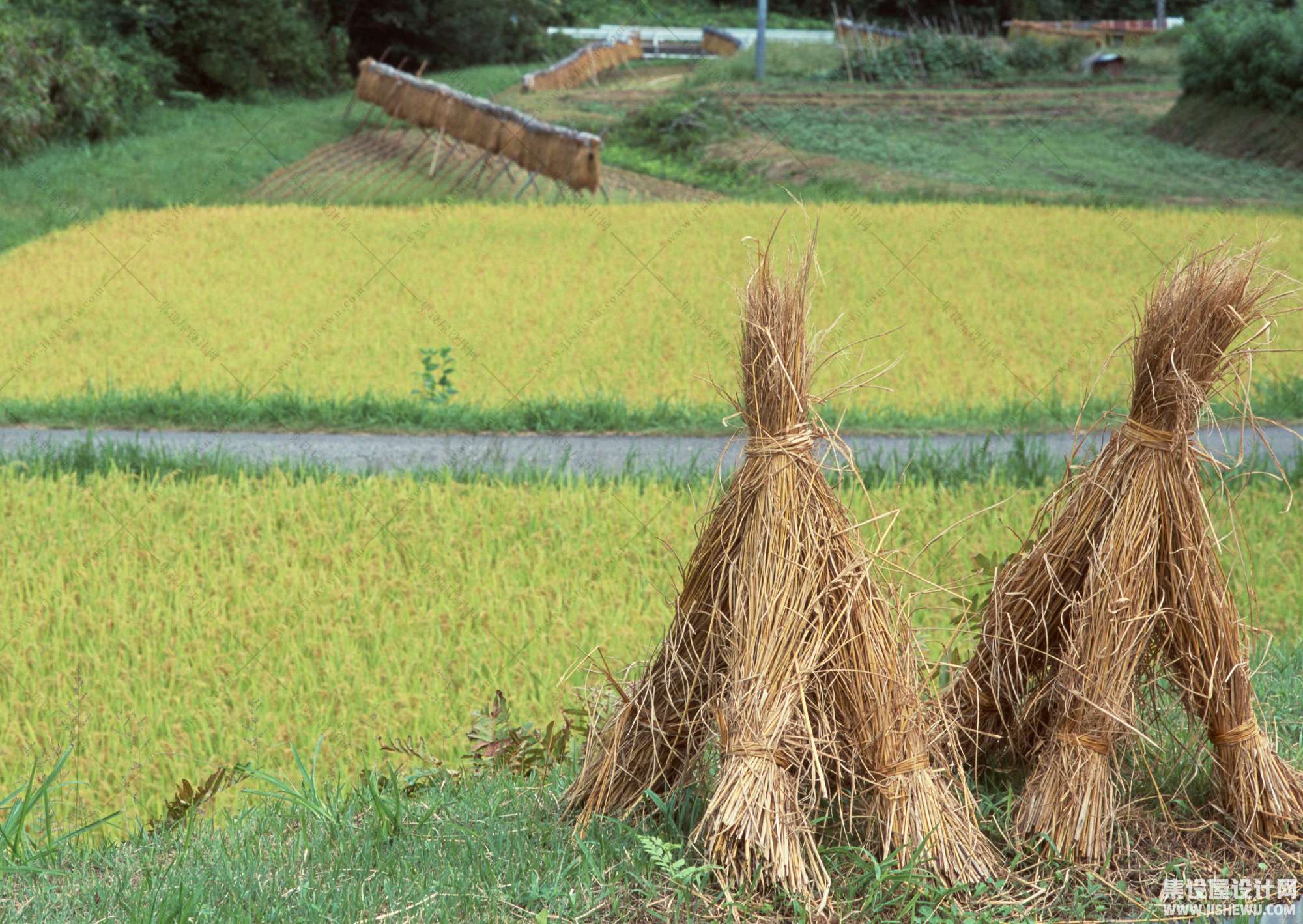 田园风格-1