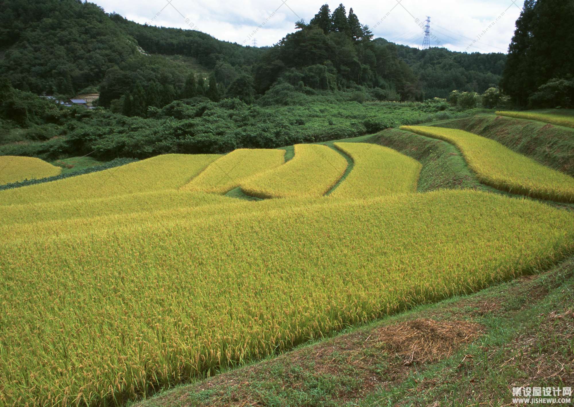 田园风格-1