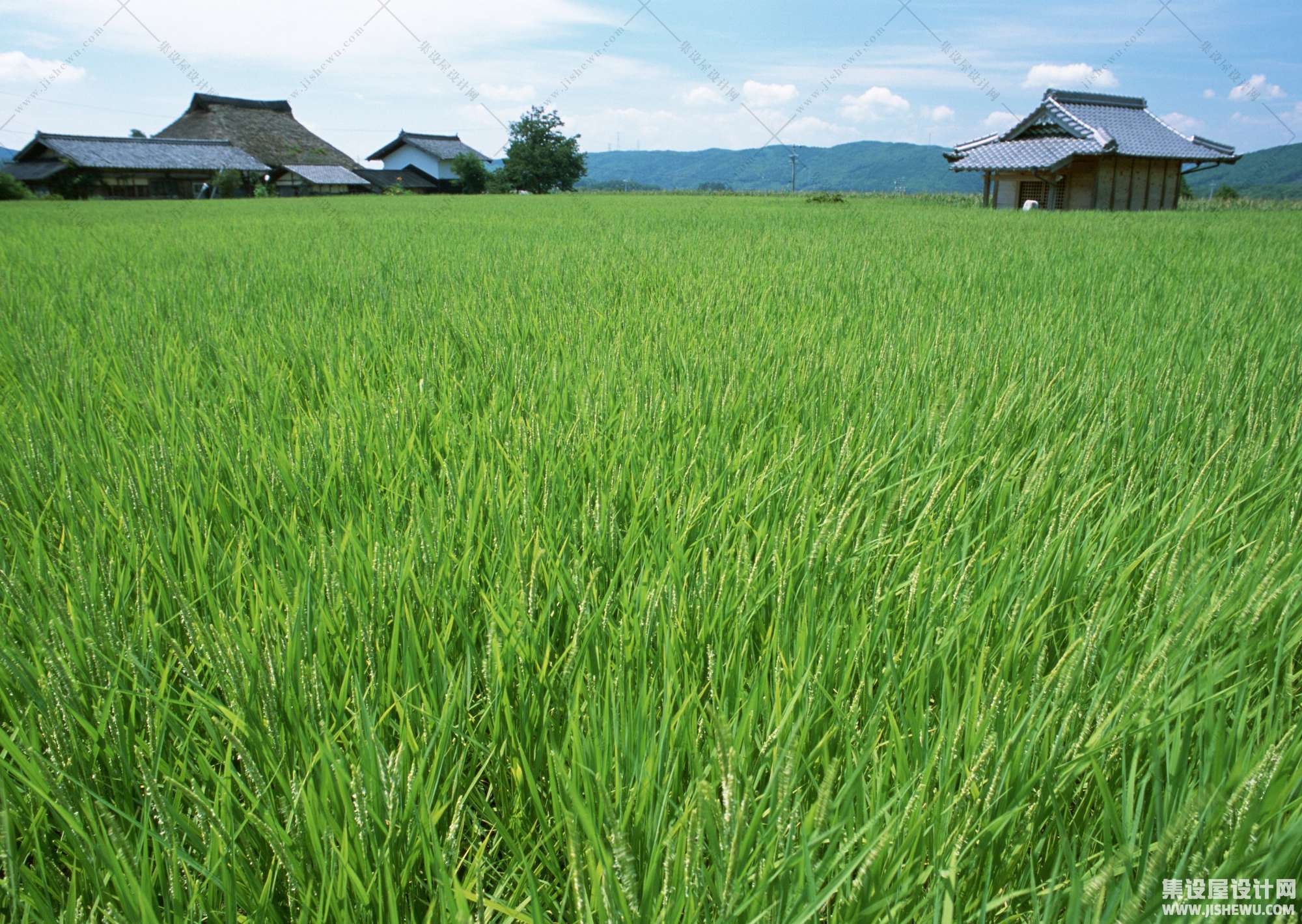 田园风格-1