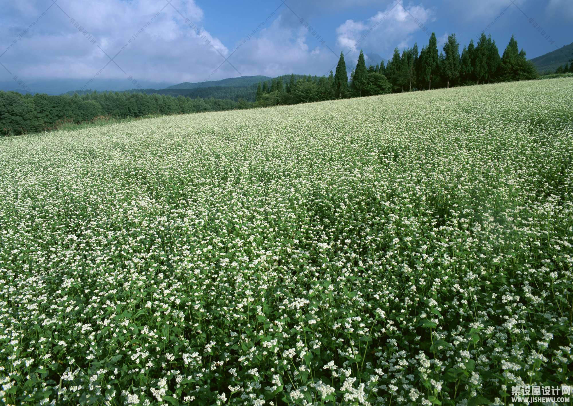 田园风格-1