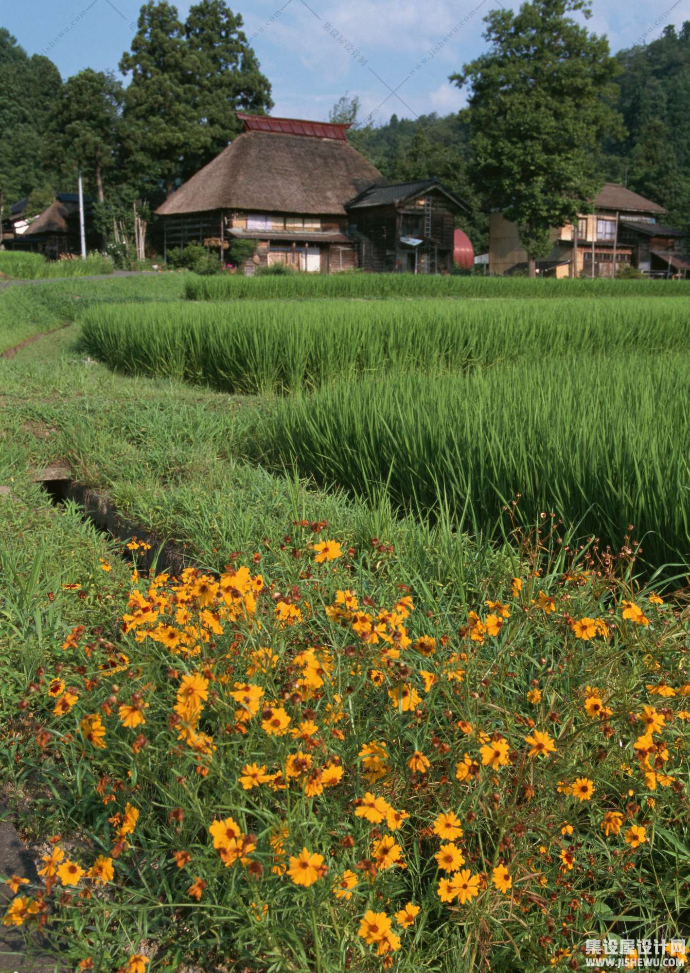 田园风格-1