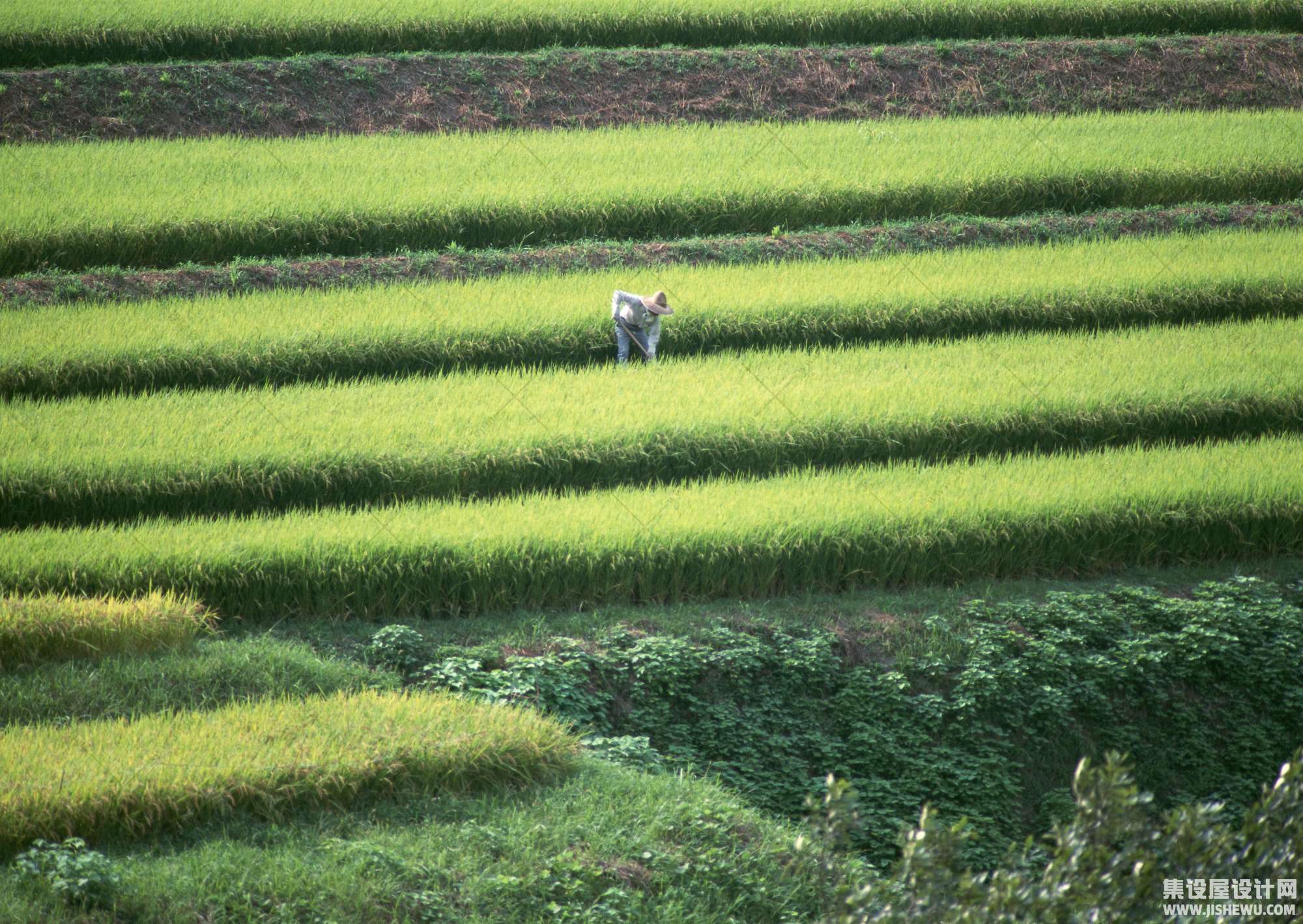 田园风格-1