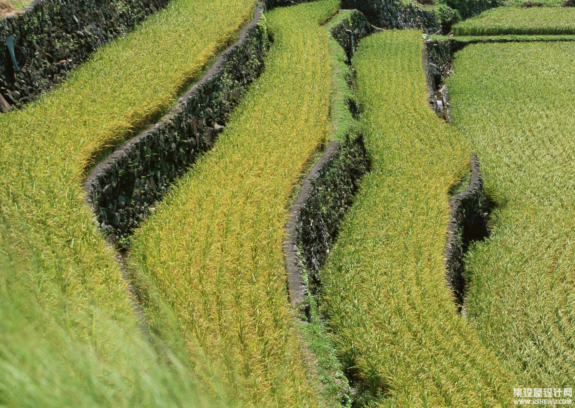 田园风格-1