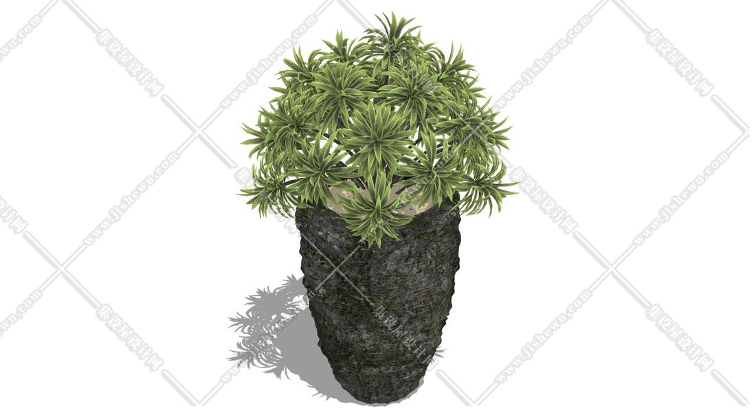 植物盆栽-1